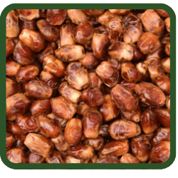 Dates - Pitted (image for) Dates - Pitted